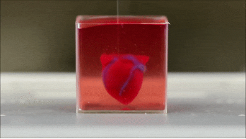 15570203446286239i1A.png 圖片7.png