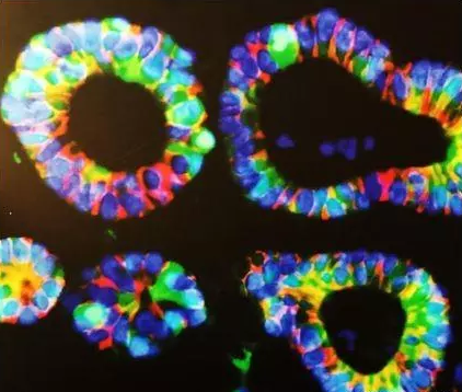 1560911172714693Llgl.png 微信截圖_20190619102550.png